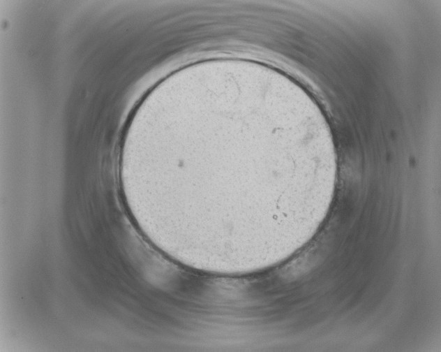 X0000081561514200701291137