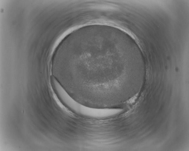 X0000081561515200701291137