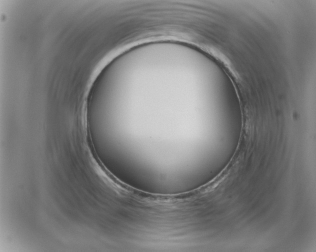 X0000081561516200701291137