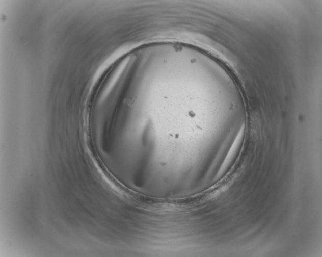 X0000081561517200701291137