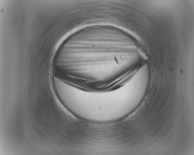 X0000081561518200701291137