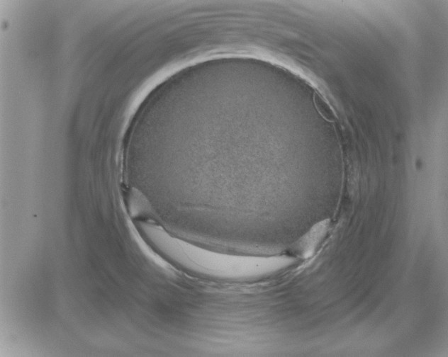 X0000081561519200701291137