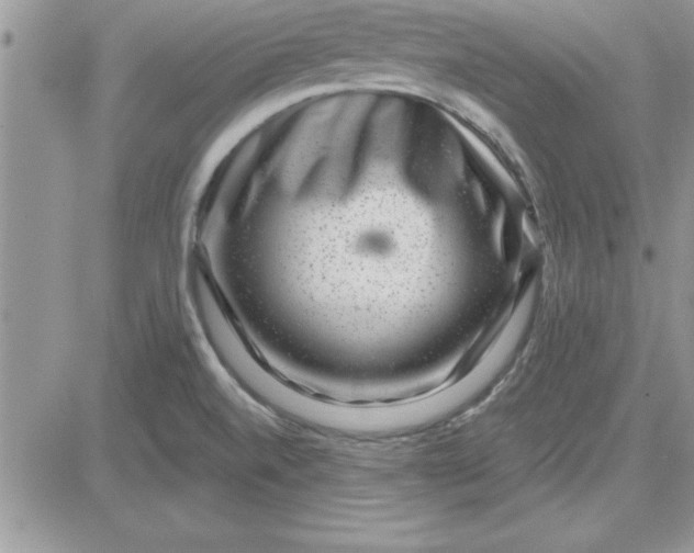 X0000081561520200701291137