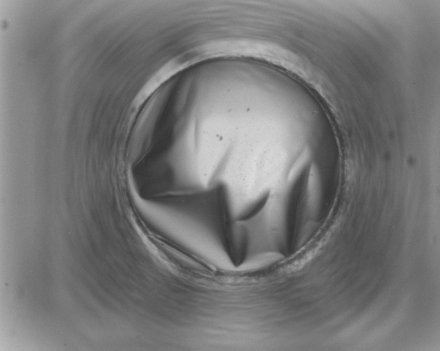 X0000081561521200701291137