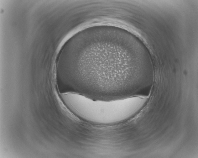 X0000081561522200701291137