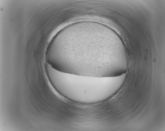 X0000081561523200701291137