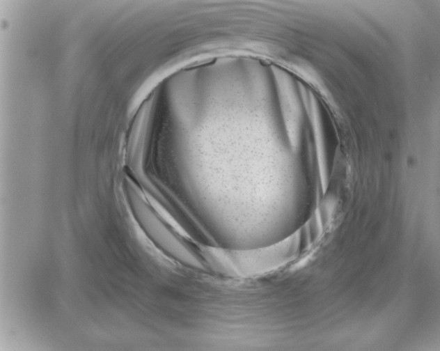 X0000081561524200701291137