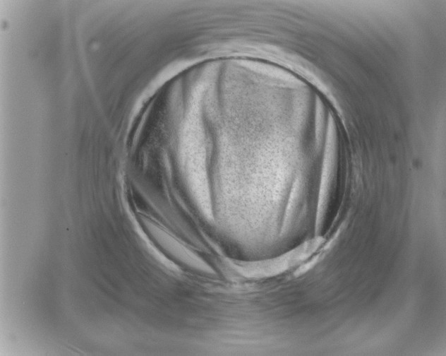 X0000081561525200701291137