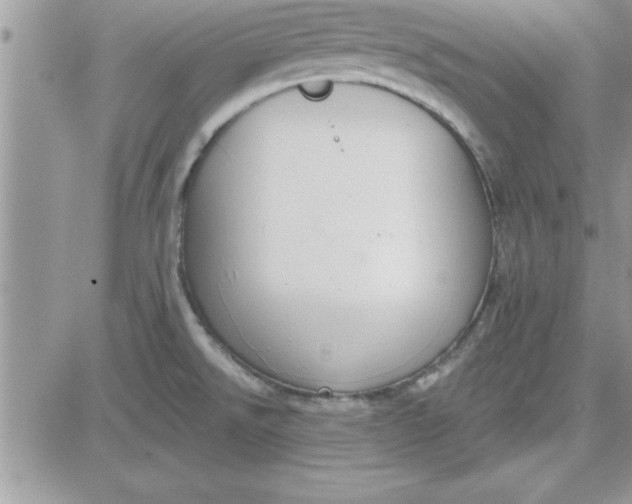 X0000081561526200701291137