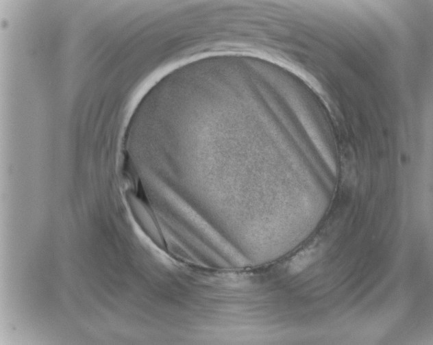 X0000081561527200701291137