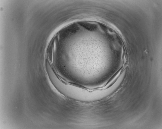 X0000081561528200701291137