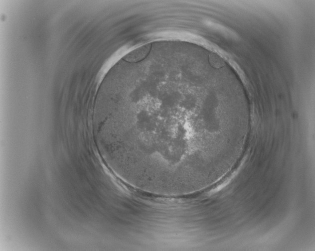 X0000081561529200701291137