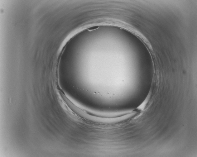 X0000081561530200701291137