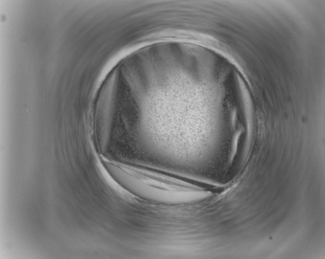 X0000081561531200701291137