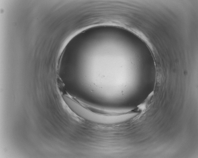 X0000081561532200701291137