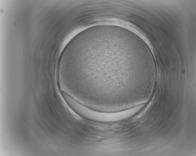 X0000081561533200701291137