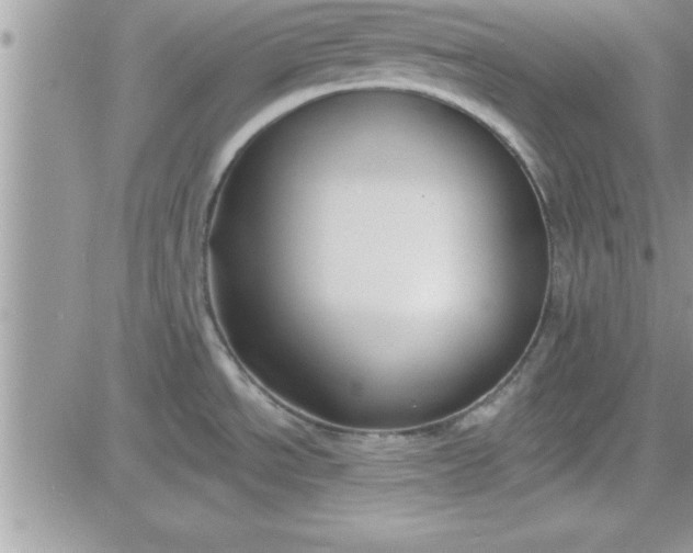 X0000081561534200701291137