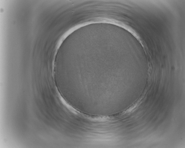 X0000081561535200701291137