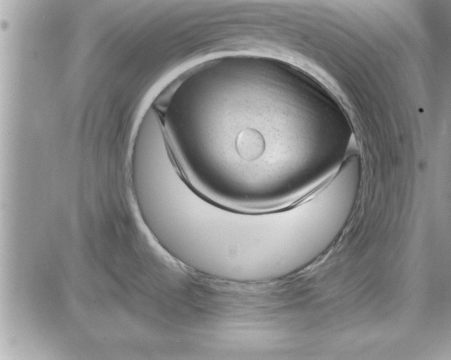 X0000081561536200701291137