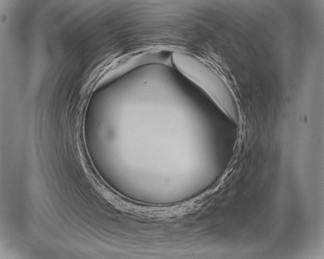 X0000081560001200702051201