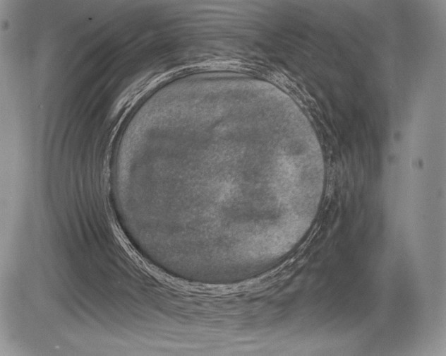 X0000081560002200702051201