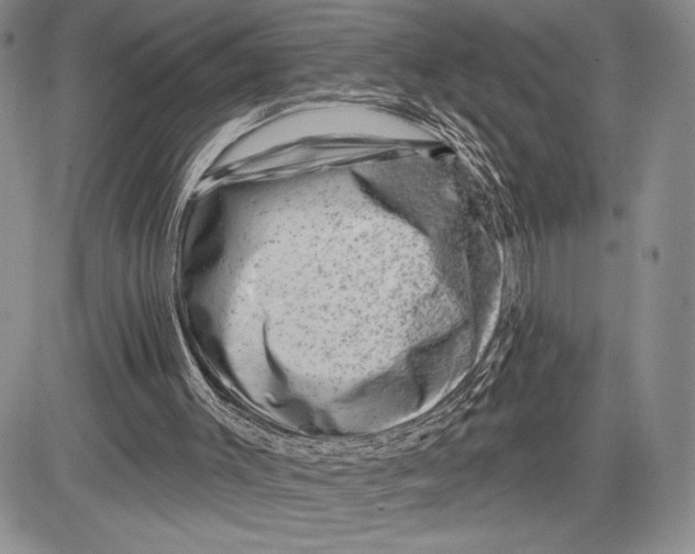 X0000081560003200702051201