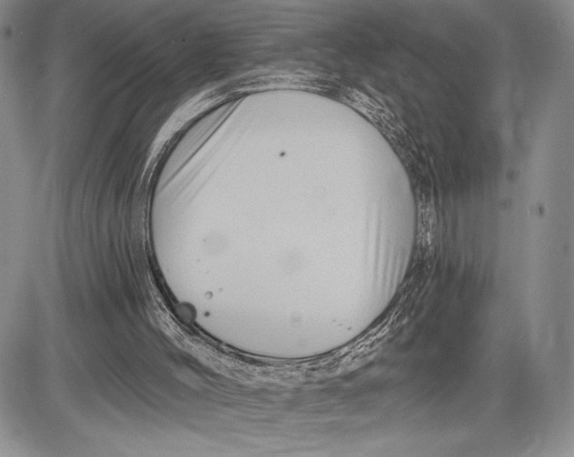 X0000081560004200702051201