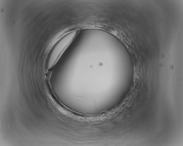 X0000081560005200702051201