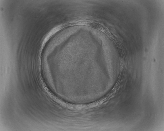 X0000081560006200702051201