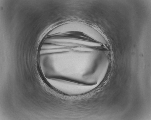 X0000081560007200702051201