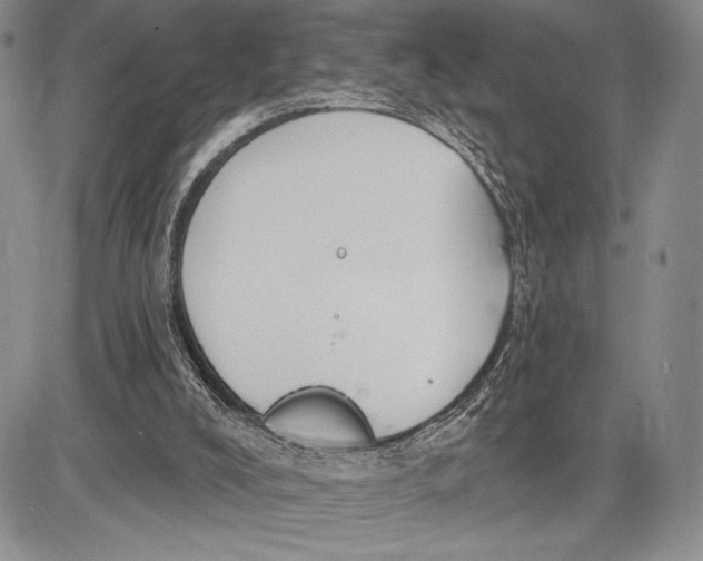 X0000081560008200702051201