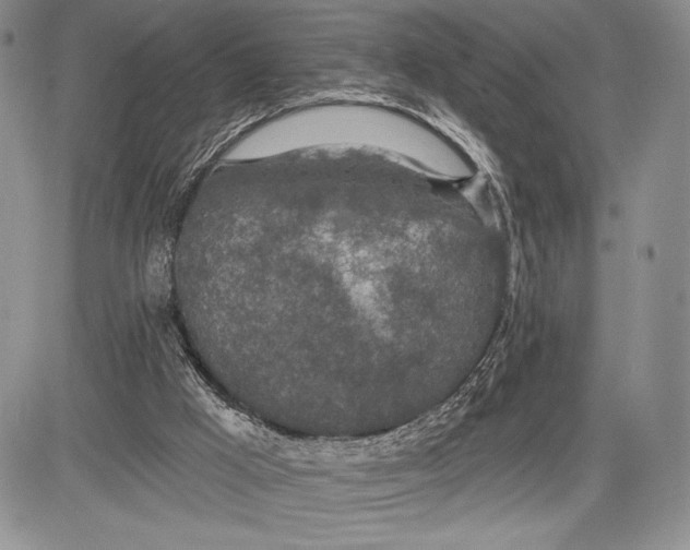 X0000081560009200702051201