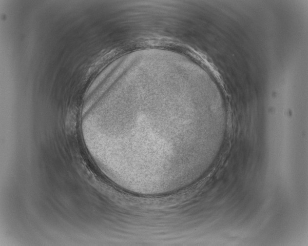 X0000081560010200702051201