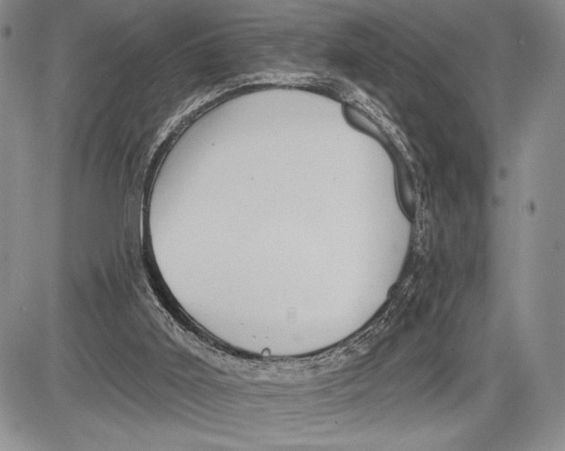 X0000081560011200702051201