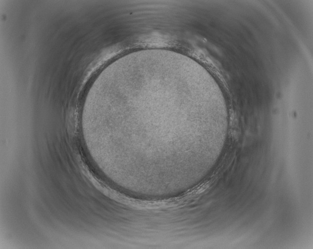 X0000081560012200702051201