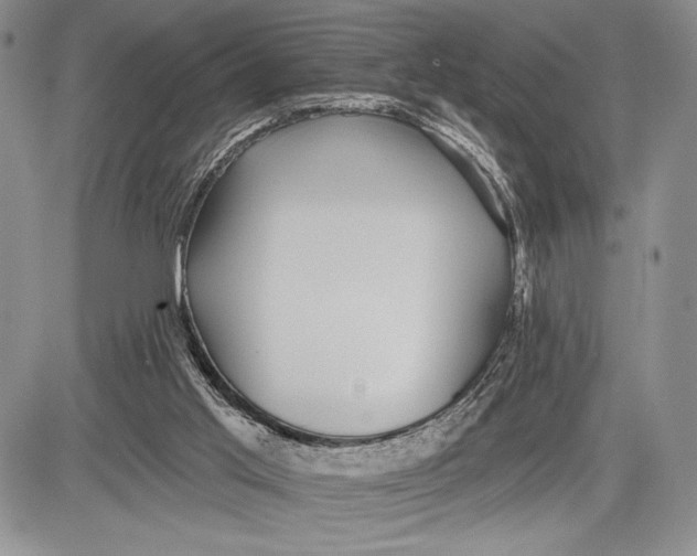 X0000081560013200702051200