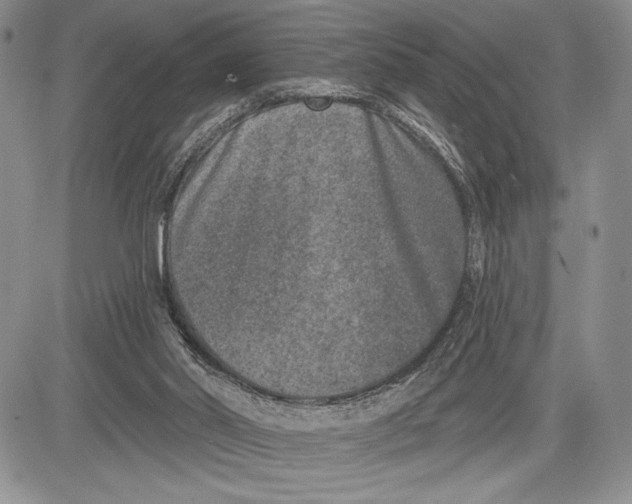 X0000081560014200702051200