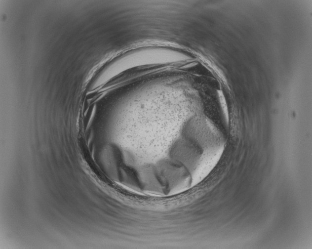 X0000081560015200702051200