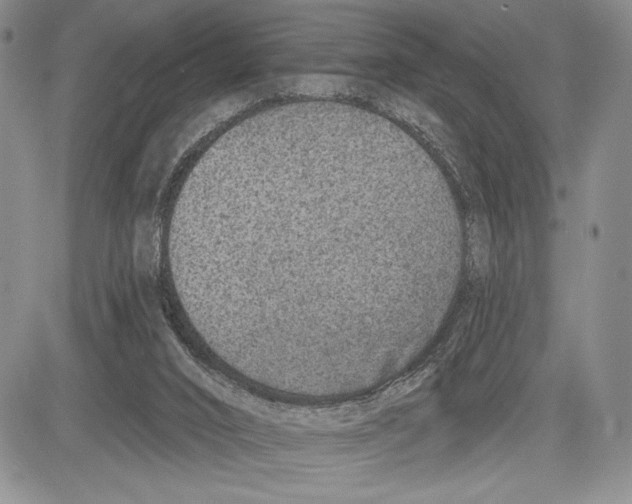 X0000081560016200702051200