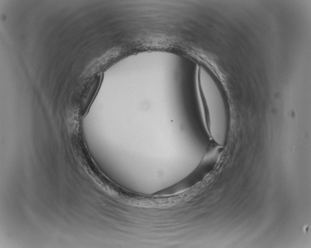 X0000081560017200702051200