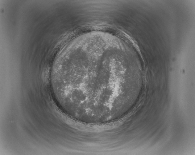 X0000081560018200702051200