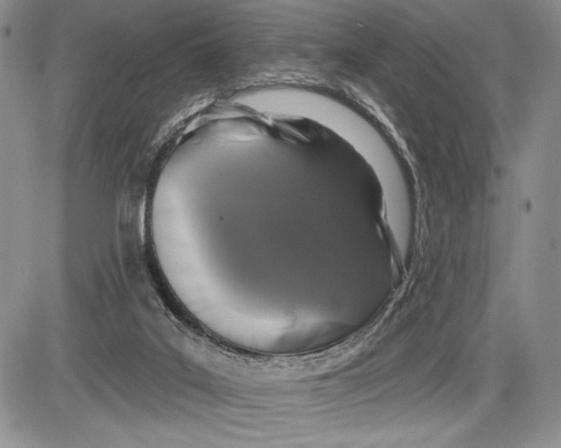 X0000081560019200702051200