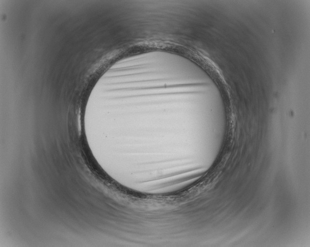 X0000081560020200702051200