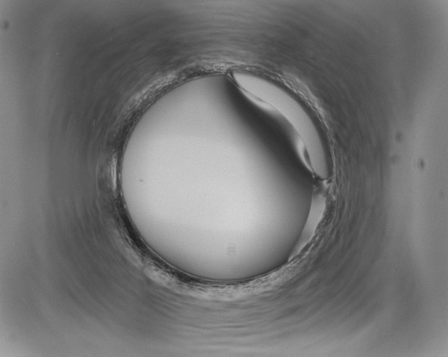 X0000081560021200702051200