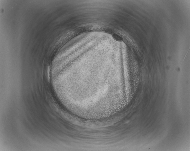 X0000081560022200702051200