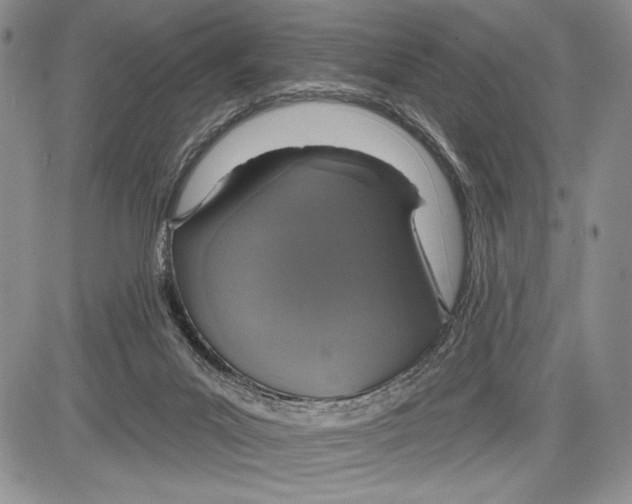 X0000081560023200702051200