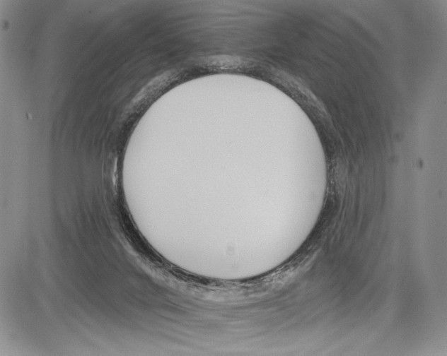 X0000081560024200702051200