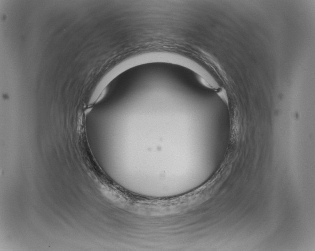 X0000081560025200702051200