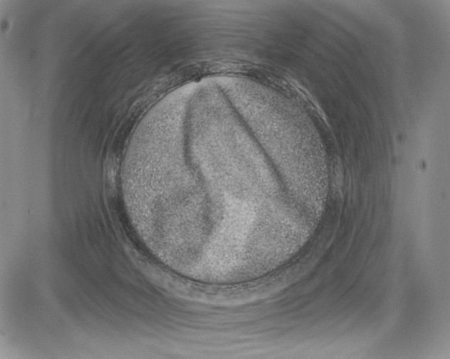 X0000081560026200702051200