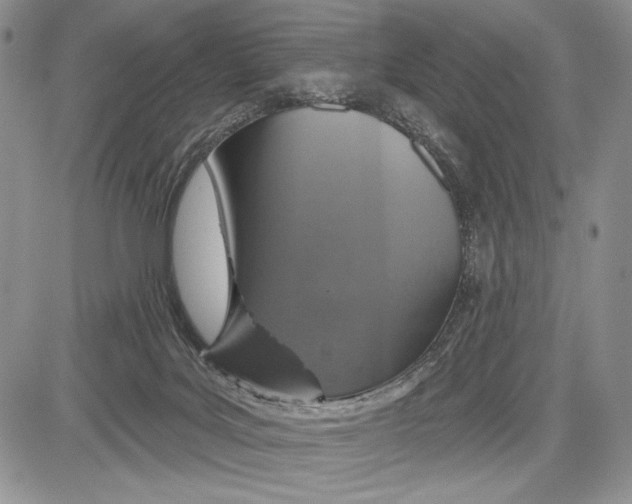 X0000081560027200702051200